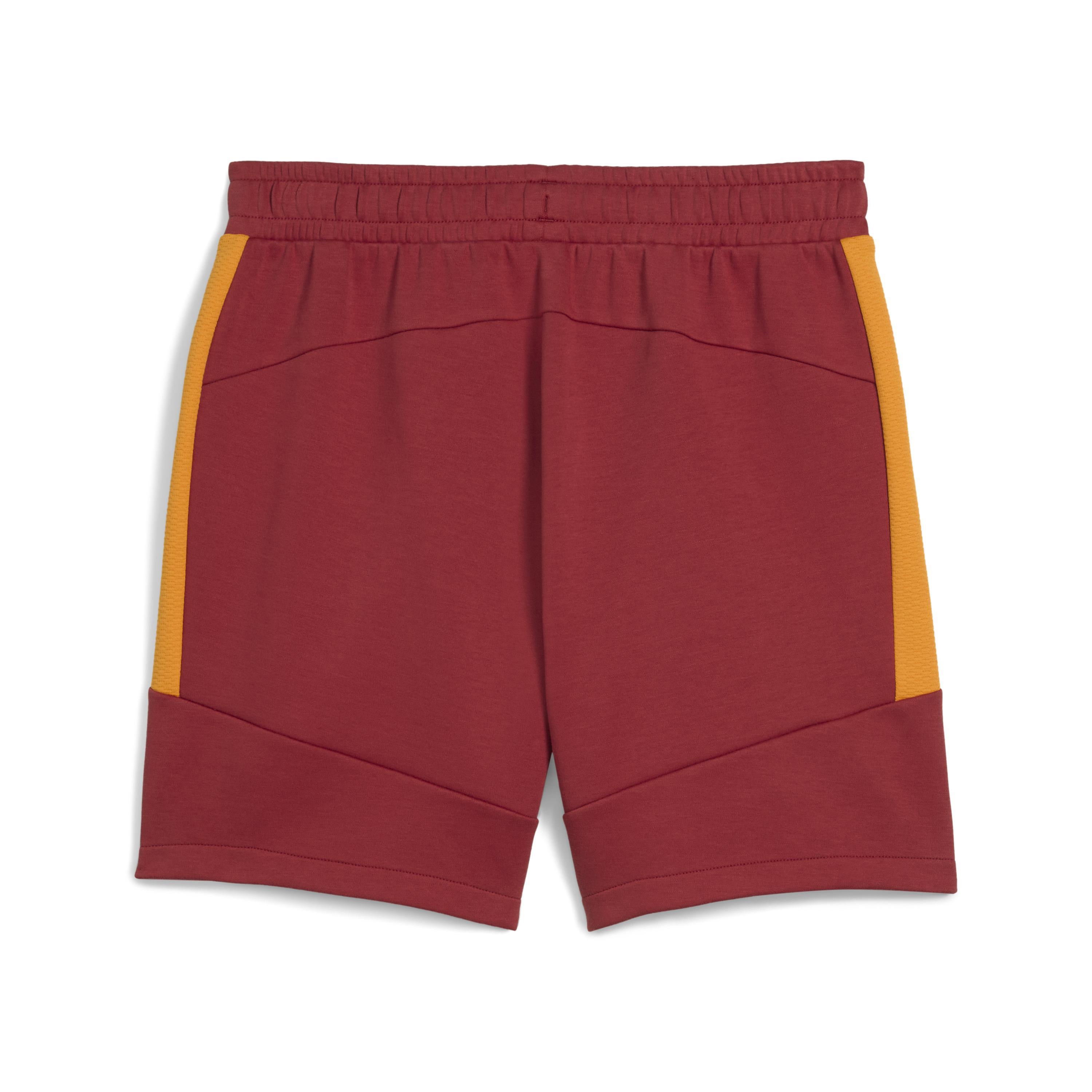 Puma Gsk Evostrıpe Shorts Erkek Yetişkin Şort