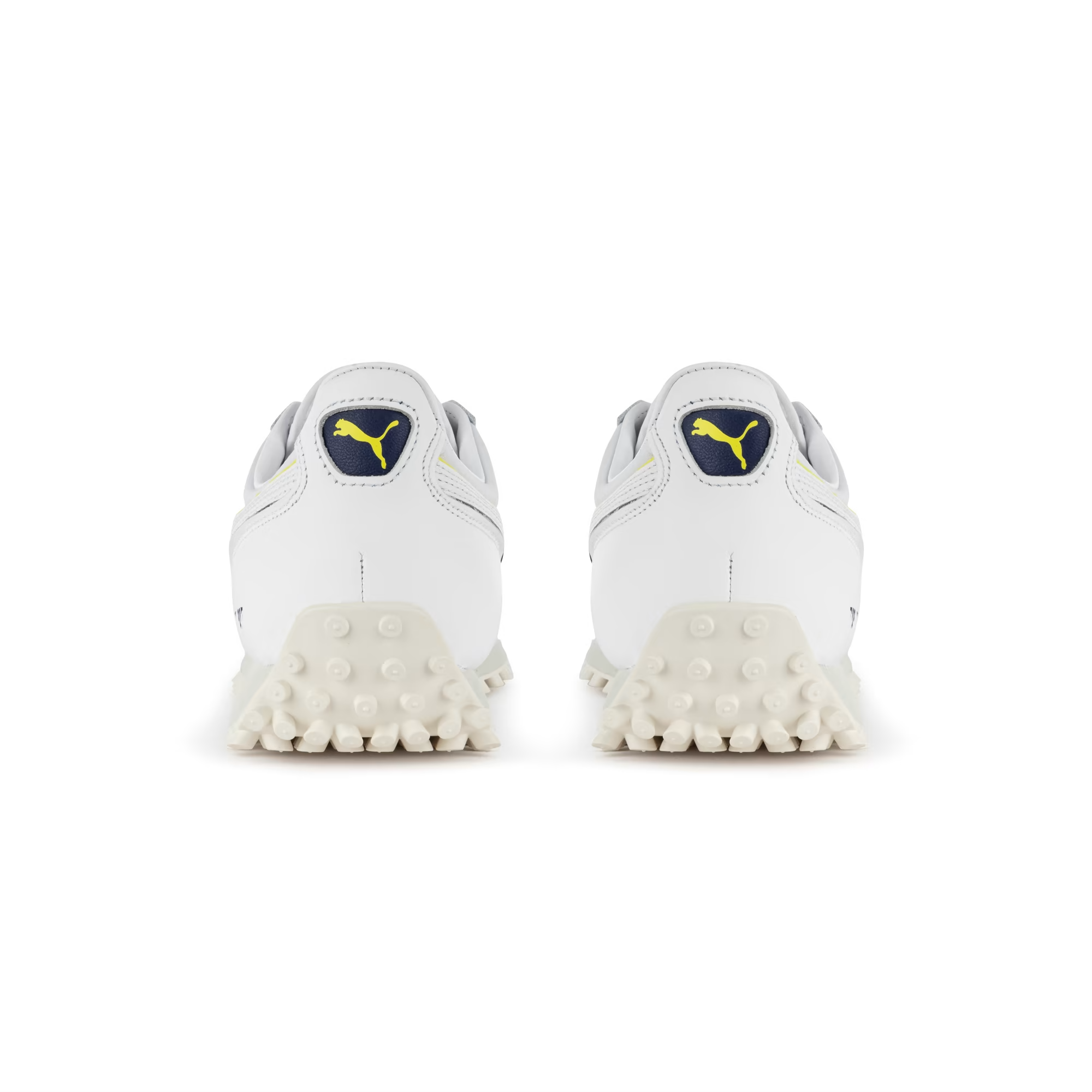 Fast Rider Fenerbahce