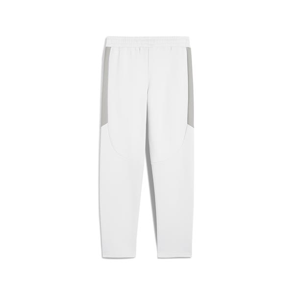 Puma Evostrıpe Pants Dk Erkek Yetişkin Eşofman Altı