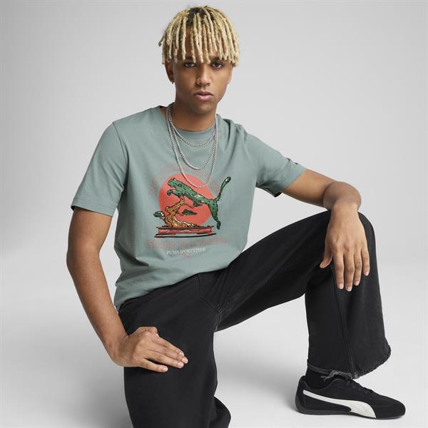 Puma Graphıcs Puma Bonsai Tee Erkek Tişört