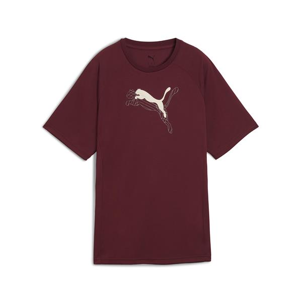 Puma Evostrıpe Graphic Tee Kadın Yetişkin T-shirt