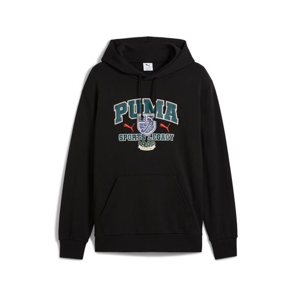 Puma Wardrobe Ess Graphic Hoodie Erkek Sweatshirt