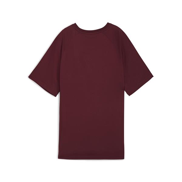 Puma Evostrıpe Graphic Tee Kadın Yetişkin T-shirt