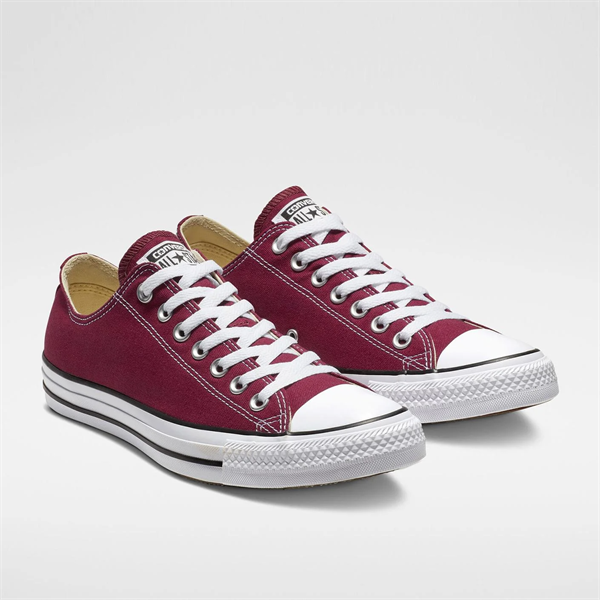 Chuck Taylor All Star Canvas Erkek Sneaker
