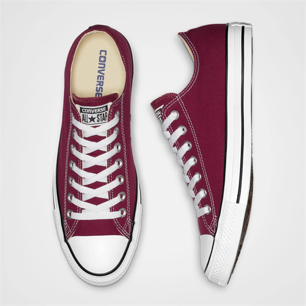 Chuck Taylor All Star Canvas Erkek Sneaker