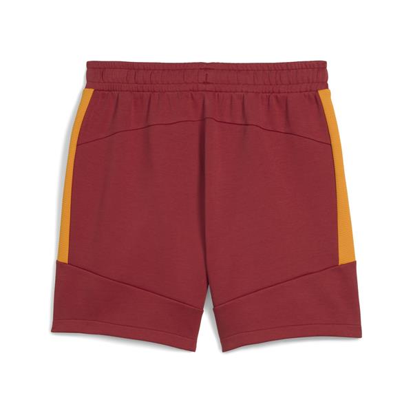 Puma Gsk Evostrıpe Shorts Erkek Yetişkin Şort