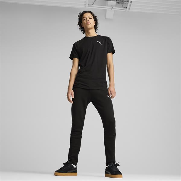 Puma Evostripe Tee Erkek T-shirt