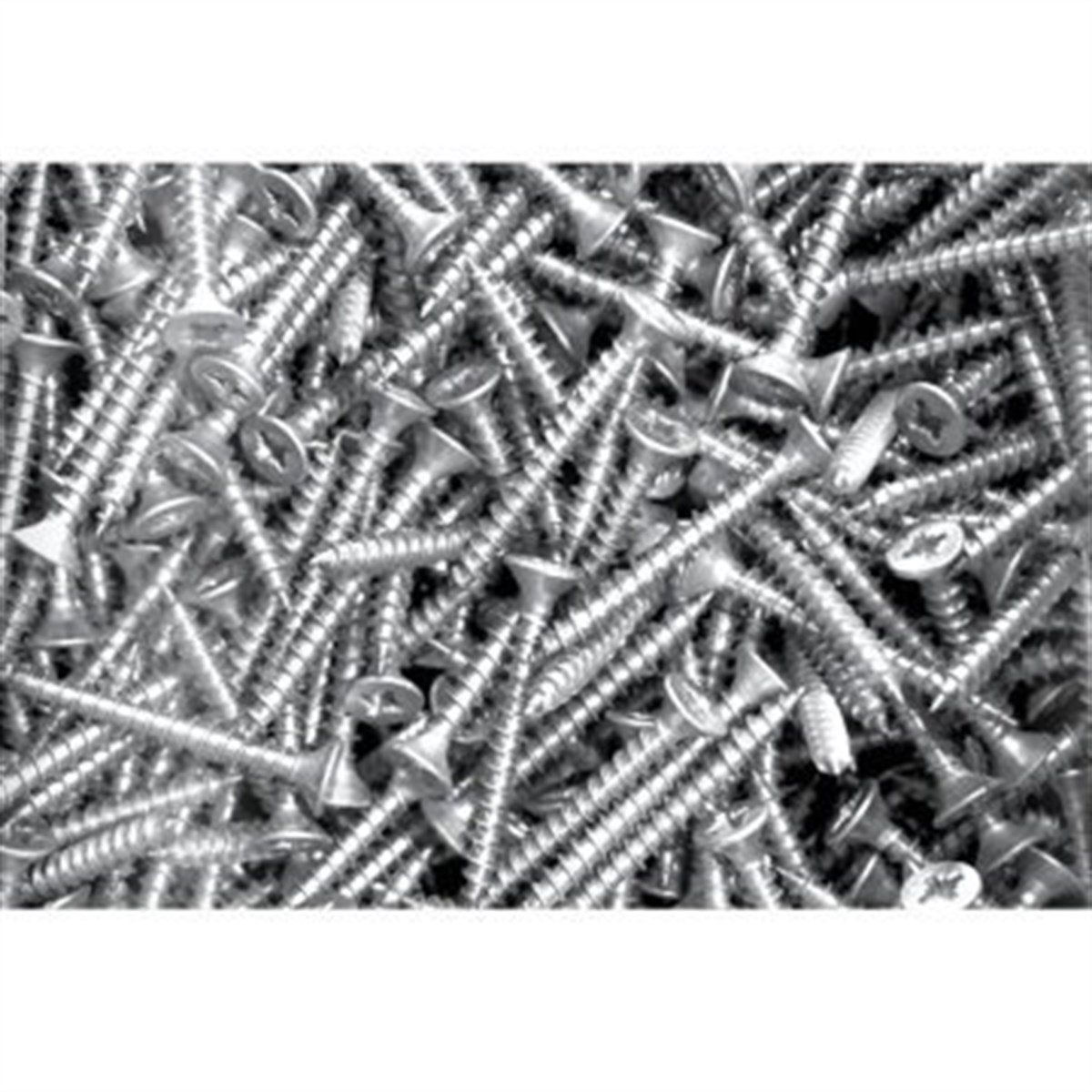 Selectron Yıldız Başlı Nikel Sunta Vidası