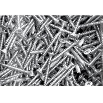 Selectron Yıldız Başlı Nikel Sunta Vidası