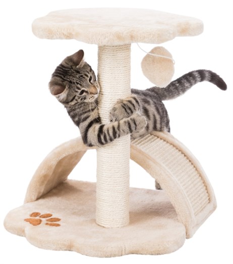 Trixie Yavru Kedi Tırmalama ve Oyun Tahtası 43 cm