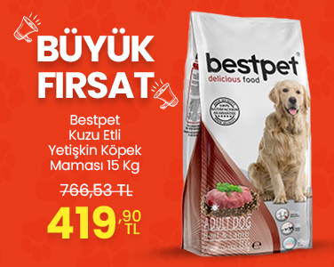 Online Pet Shop Mağazası | MamaSepeti