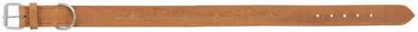 Trixie Köpek Boyun Tasması, Kalın Deri, M:38-47cm/40mm, Kahverengi