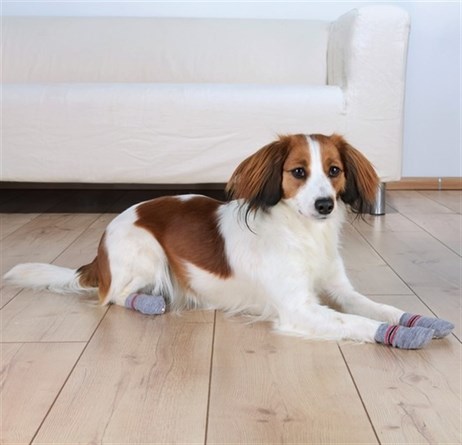 Trixie Köpek Çorabı, 2 Adet, Kaymaz, Xs-S (Chihuahua )