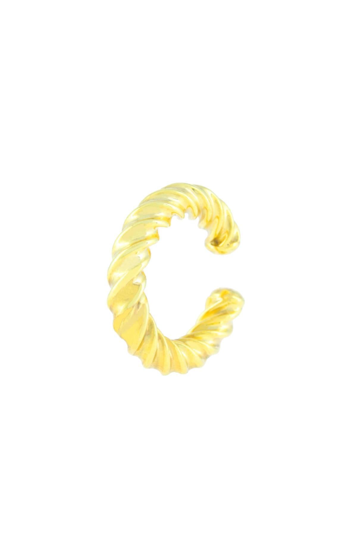 Elegant Auger Earring