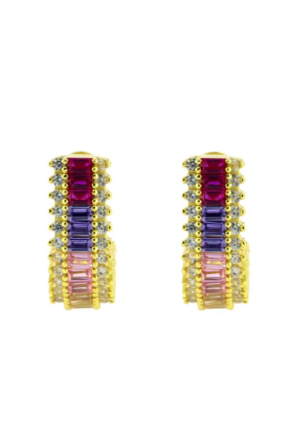 Color Tones Earring