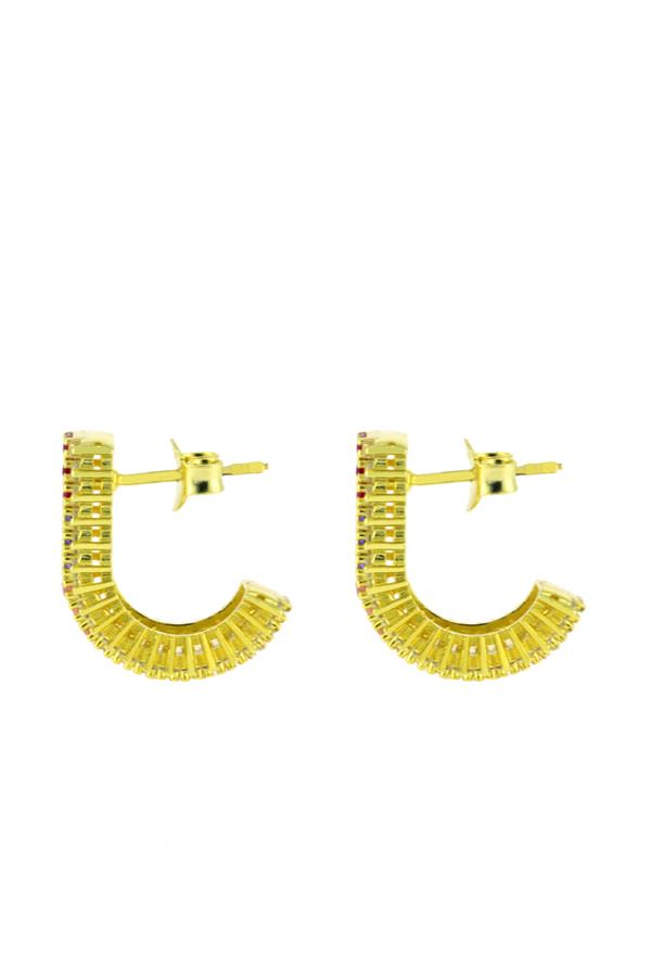 Color Tones Earring