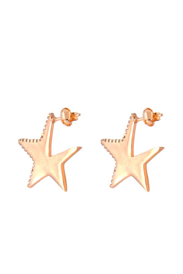 925 Ayar Gümüş Yarı Taşlı Yıldız Küpe 