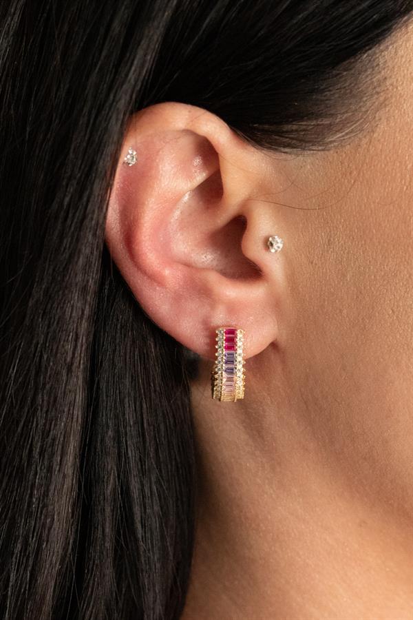 Color Tones Earring
