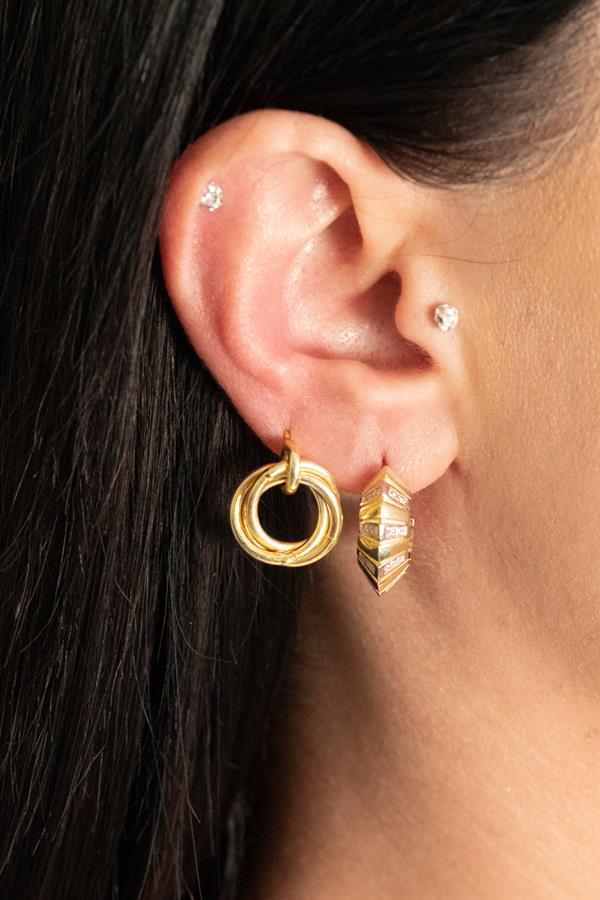 Complex Life Earring