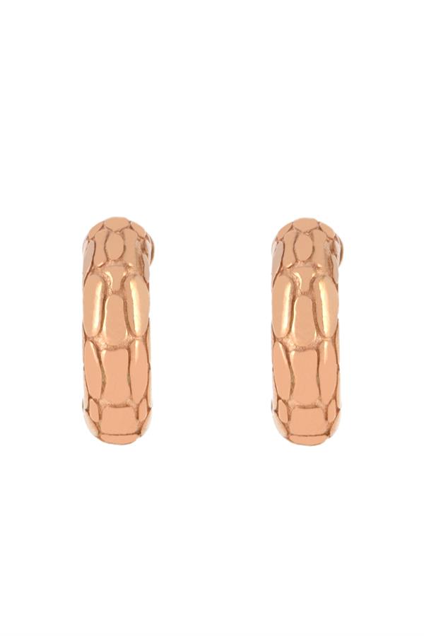 Turtle Shell Earring