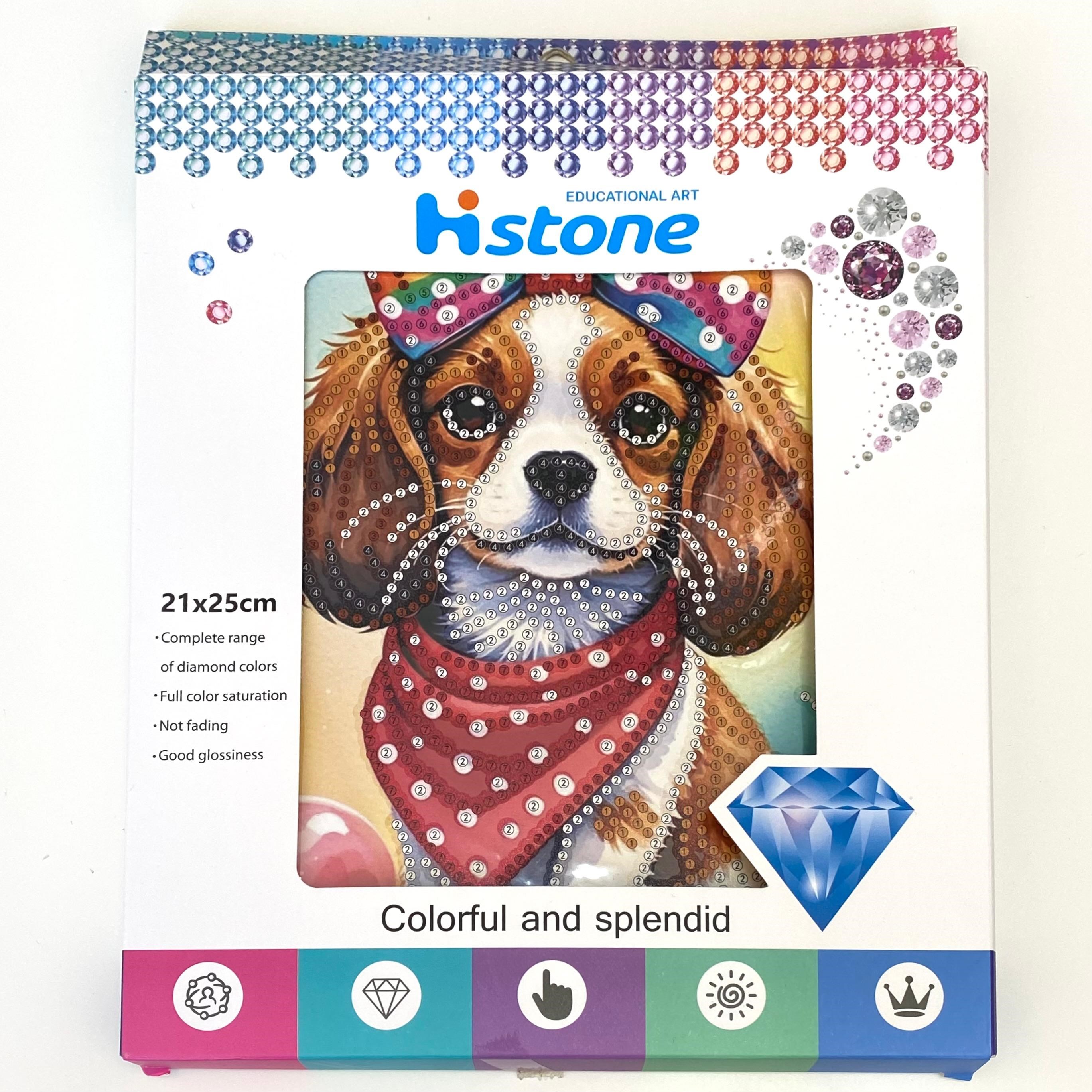 Boncuklu Taşlı Pano Mozaik Elmas Goblen Çocuklar İçin Diamond Tablo 21 x 25 Cm Yakışıklı Köpek