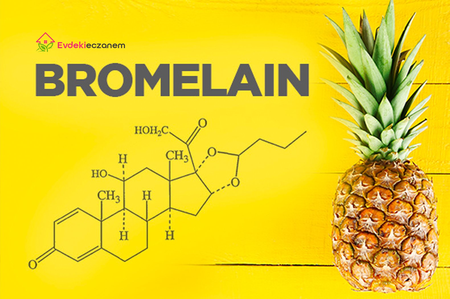 Bromelaini Tanıyalım