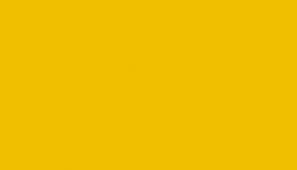 SARI RAL 1023