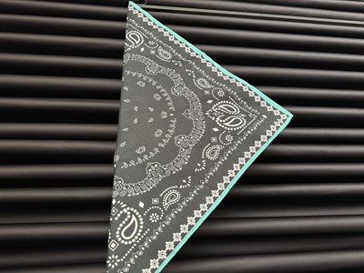 70x70 cm , Koyu Yeşil & Turkuaz Kenar , Paisley Şal