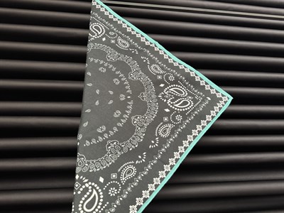 70x70 cm , Koyu Yeşil & Turkuaz Kenar , Paisley Şal