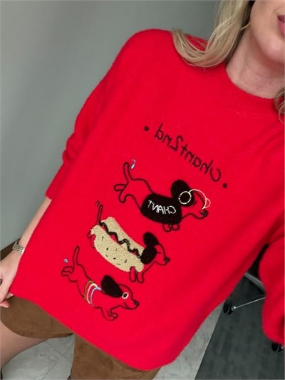 Sevimli Köpek Figürlü , Nakışlı Kırmızı Triko