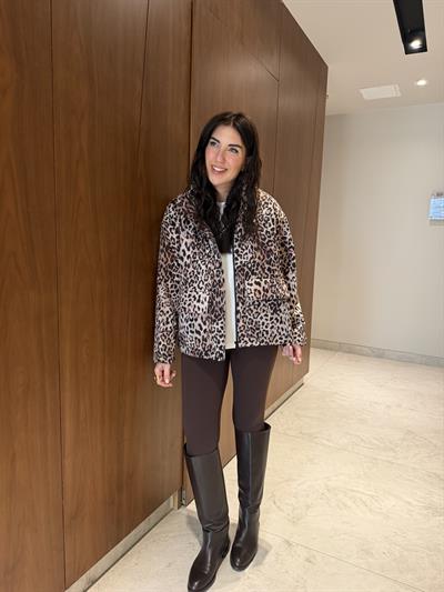 Kemerli , Leopar Mont