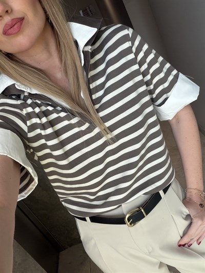 Vizon Çizgili, Poplin Detaylı Polo Yaka Modal Bluz