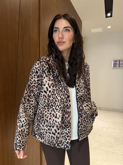 Kemerli , Leopar Mont