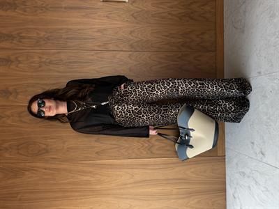 Beli Lastikli , Premium Leopar Palazzo