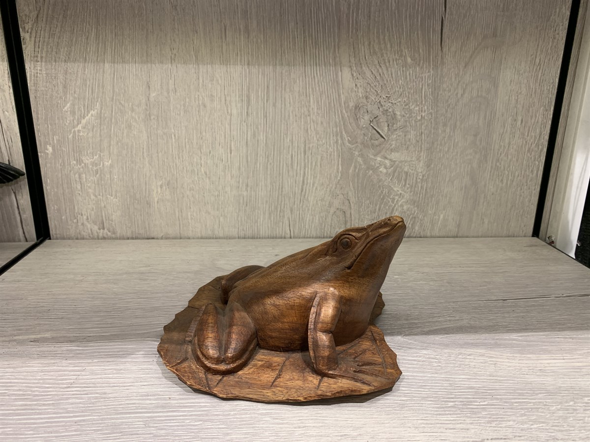 Nilüfer Yaprağı Üzerinde Oturan Kurbağa