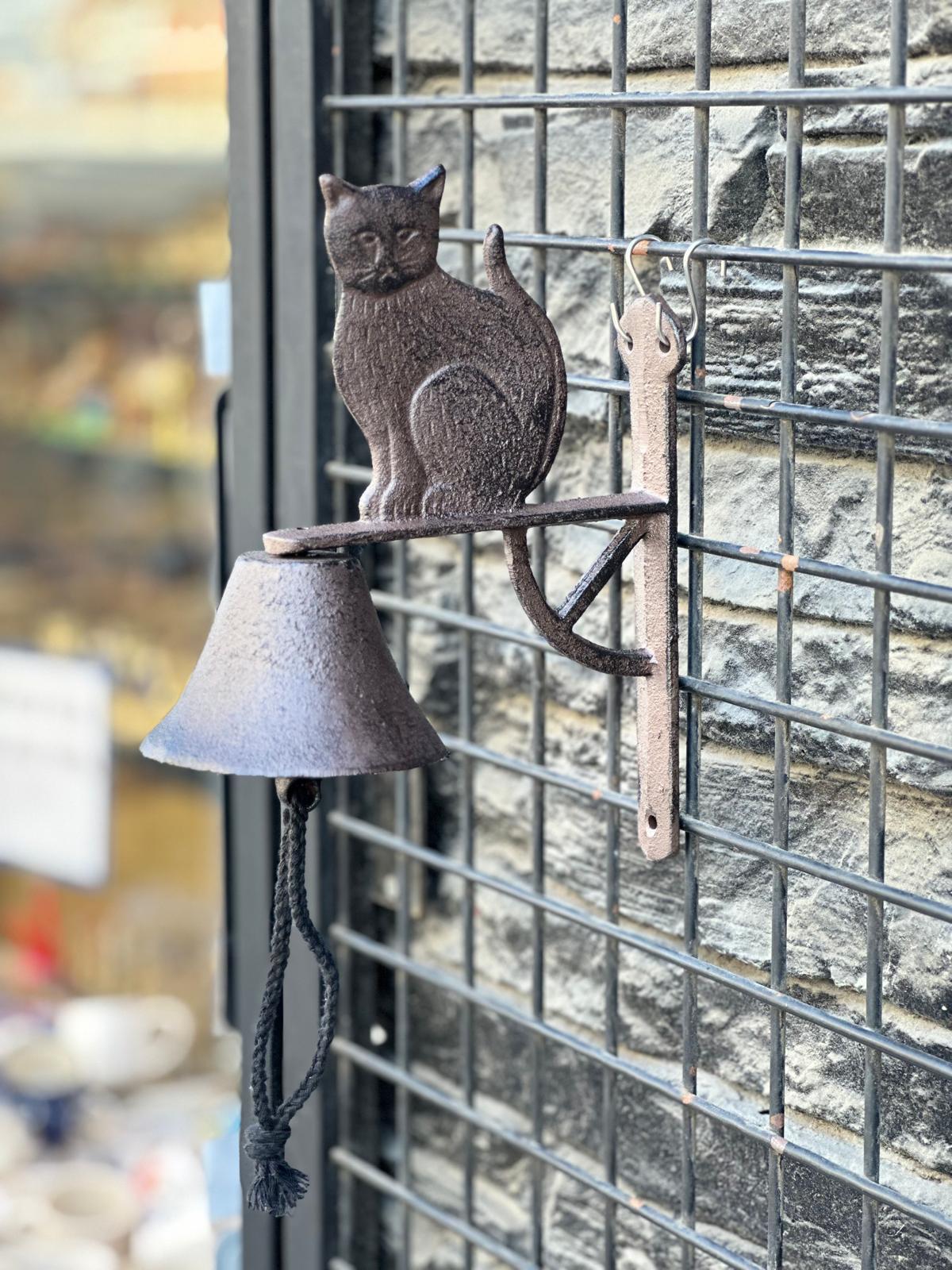 Demir Çan Kedi - Miamantra