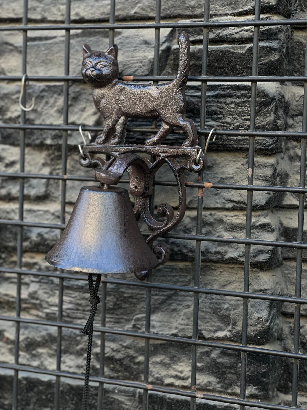 Demir Çan Kedi - Miamantra