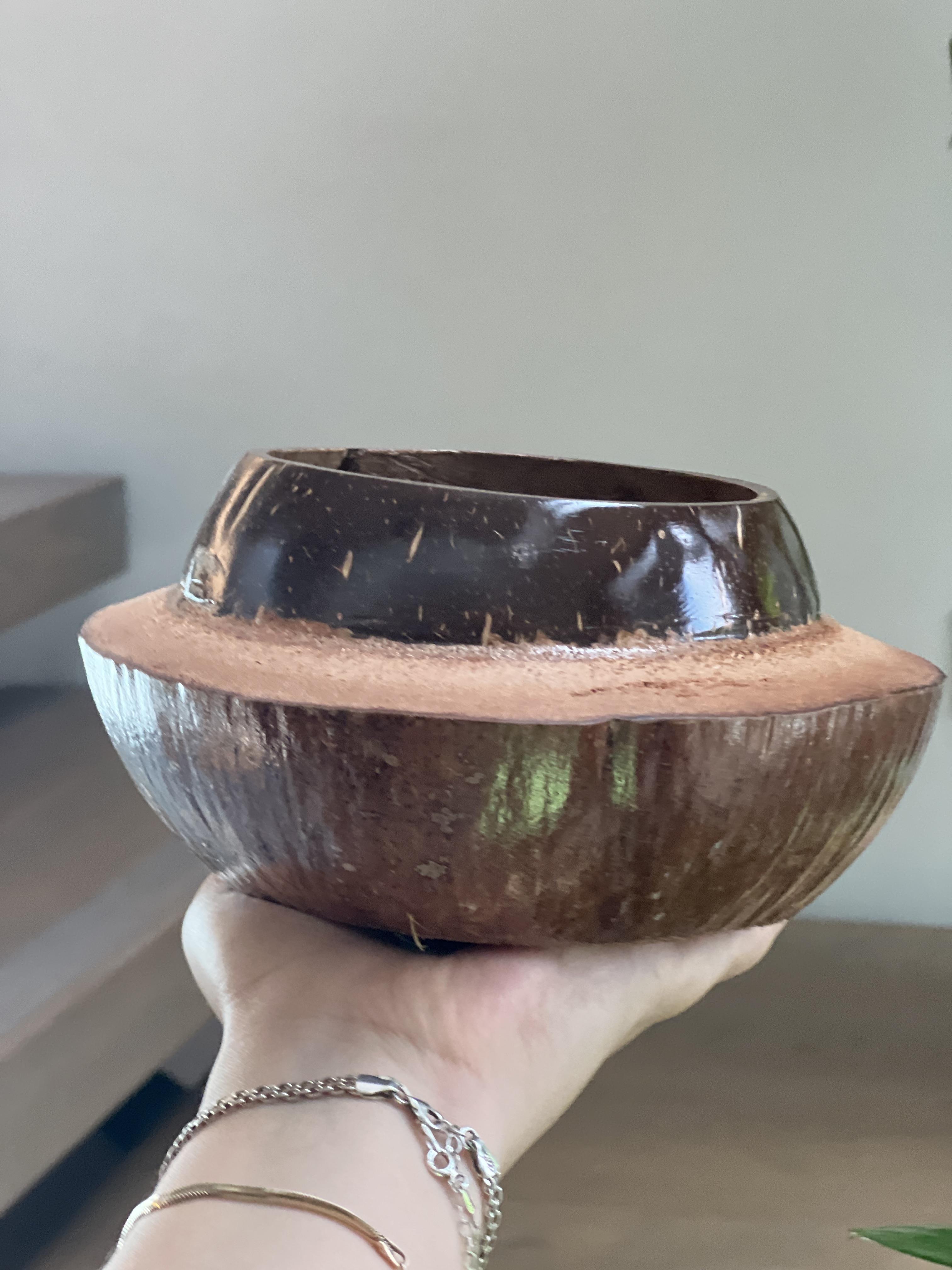 Hindistan Cevizi Saksılık / Kase (Çap: 20 cm) - Miamantra
