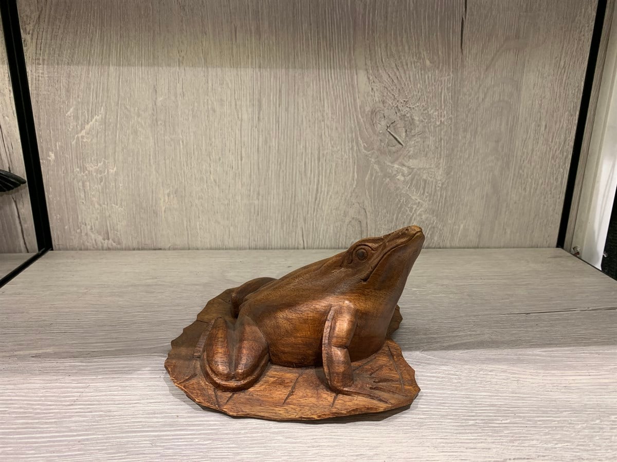 Nilüfer Yaprağı Üzerinde Oturan Kurbağa