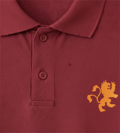 Bordo Basic Polo