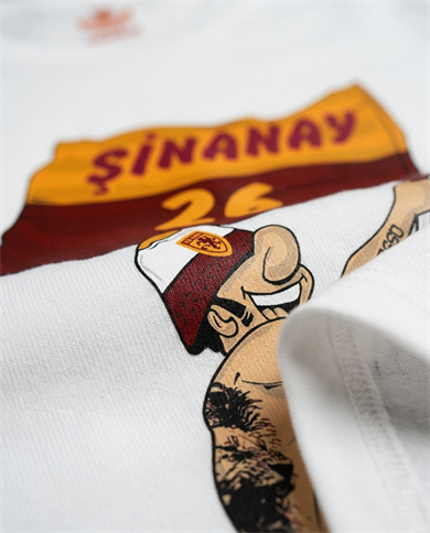 Şinanay 26