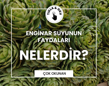 enginar-suyu-faydalari-nelerdir