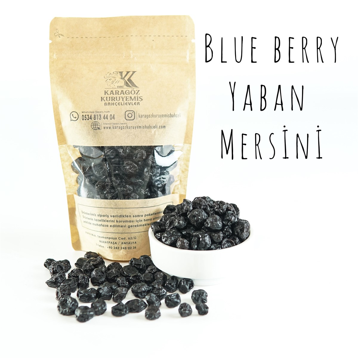 Blue Berry Yaban Mersini