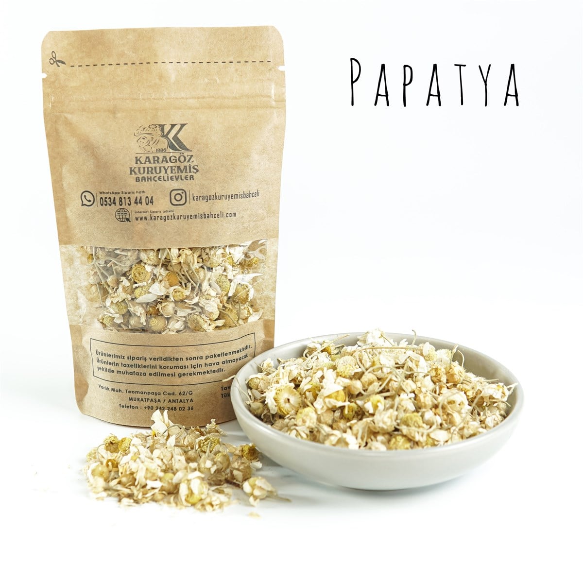 Papatya