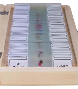 Bresser Prepared Slides Set 50pcs, with case