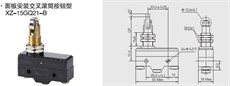 XZ-15GQ21-B (CM-1309) Dikey Metal Makaralı Pim 15A 1NO+1NC Mikro Switch