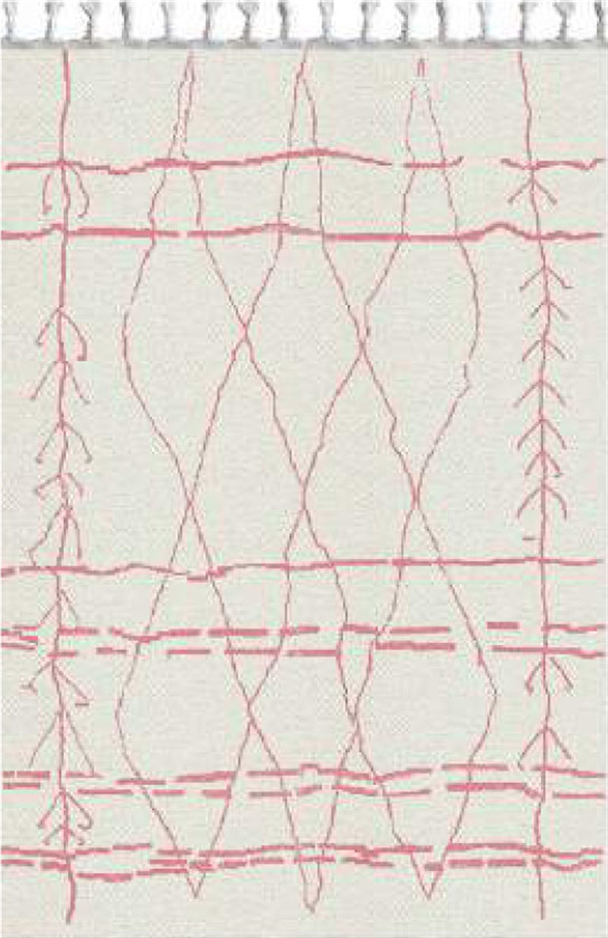 Elena DijiSoft Alaçatı A 8036