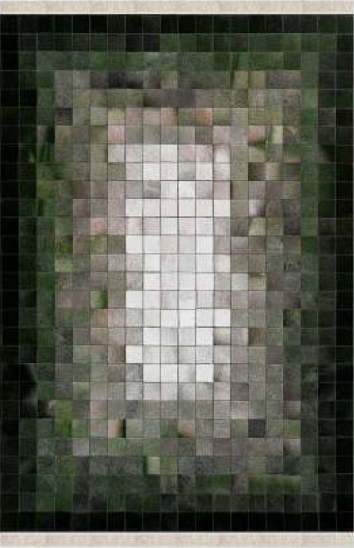 Elena DijiSoft İpekyolu MVH 186