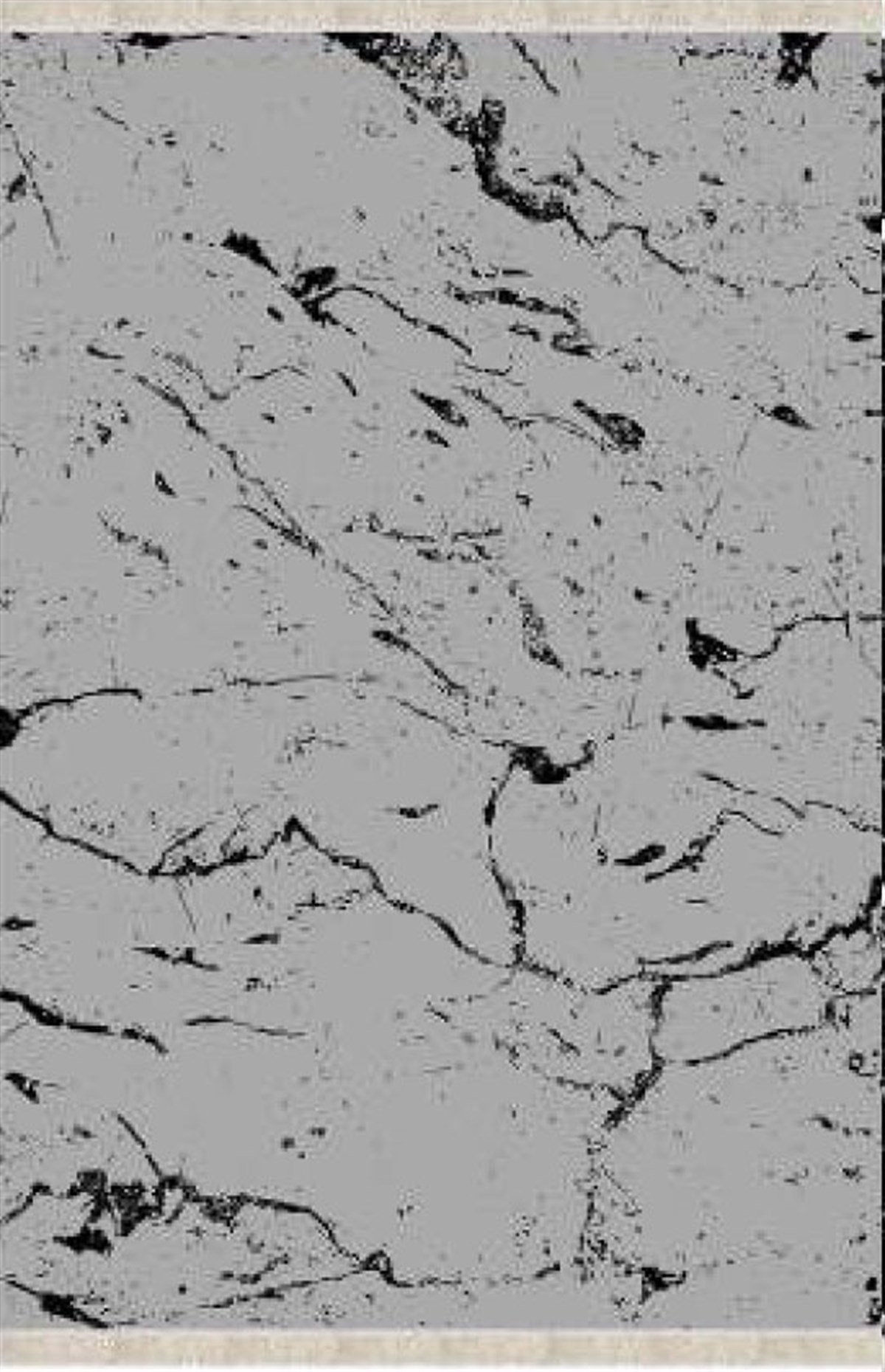 Elena DijiSoft İpekyolu MVH 829