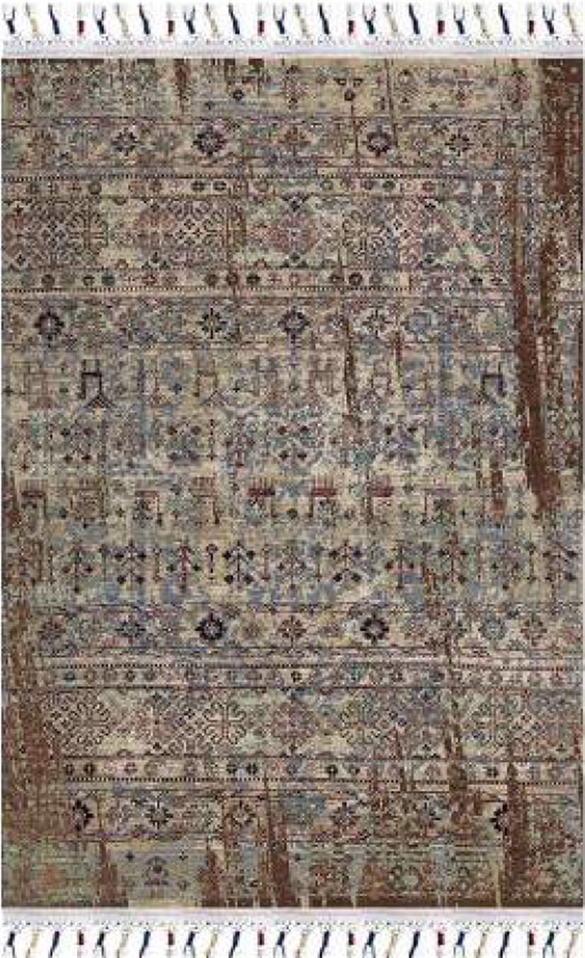 Elena DijiSoft Milas MLS 5073